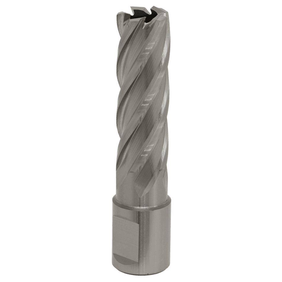 Rotabor Cutter HSS 17mm - Cut Depth 50mm Model No-RBHSS17L