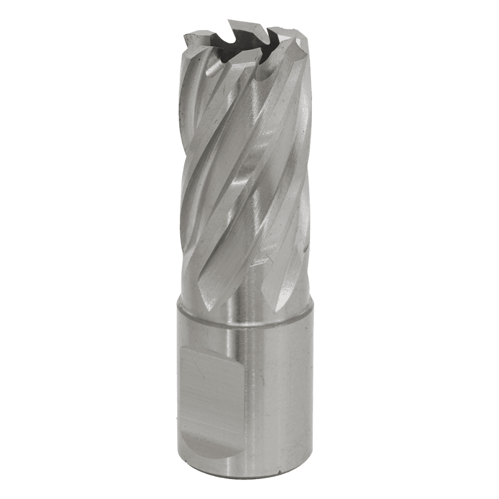 Rotabor Cutter HSS 17mm - Cut Depth 25mm Model No-RBHSS17S