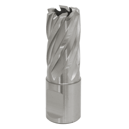 Rotabor Cutter HSS 17mm - Cut Depth 25mm Model No-RBHSS17S