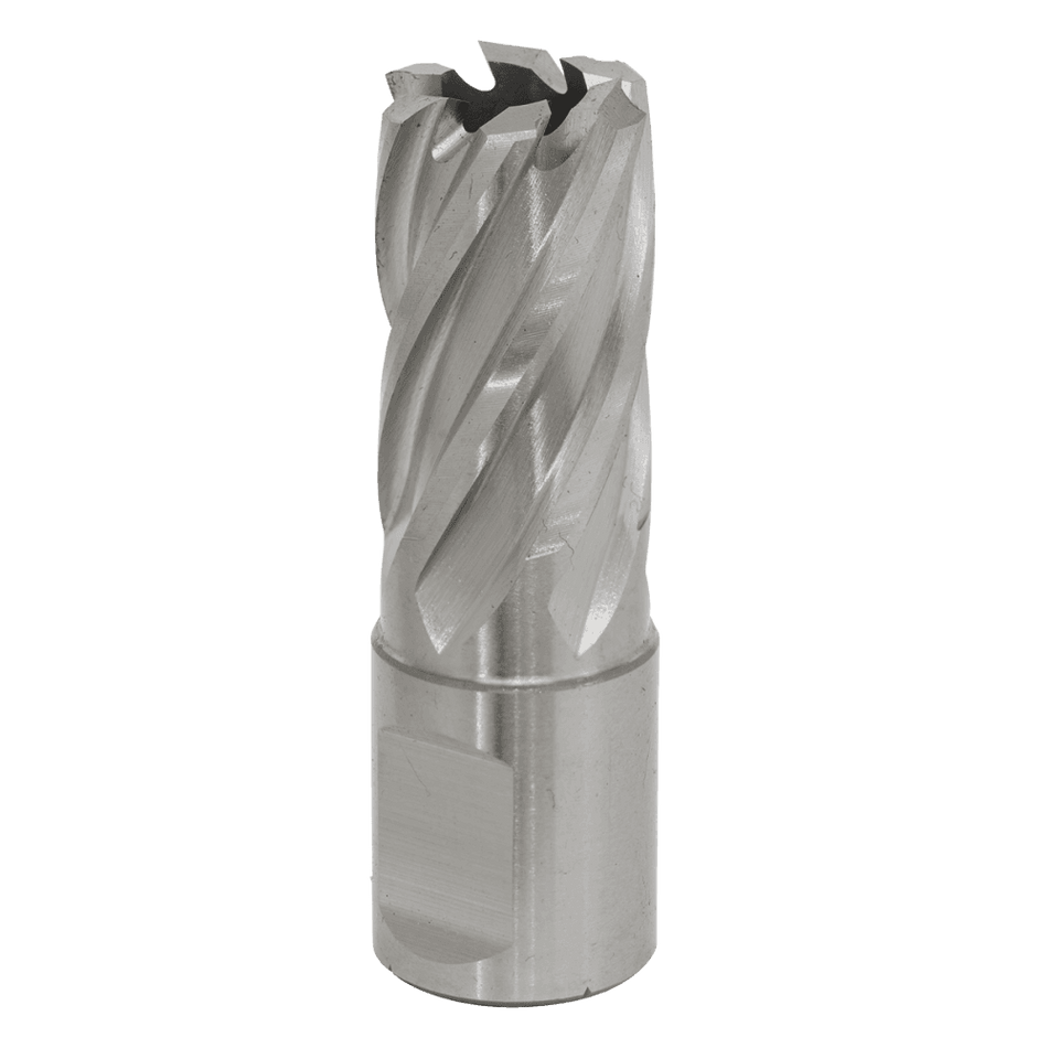 Rotabor Cutter HSS 17mm - Cut Depth 25mm Model No-RBHSS17S