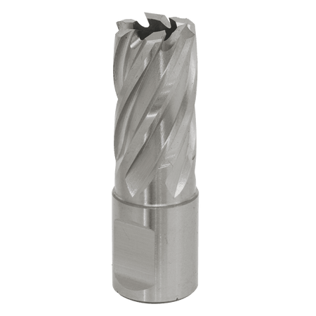 Rotabor Cutter HSS 18mm - Cut Depth 25mm Model No-RBHSS18S