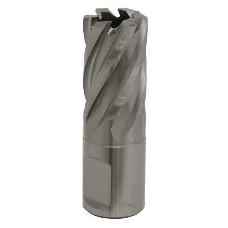 Rotabor Cutter HSS 19mm - Cut Depth 25mm Model No-RBHSS19S