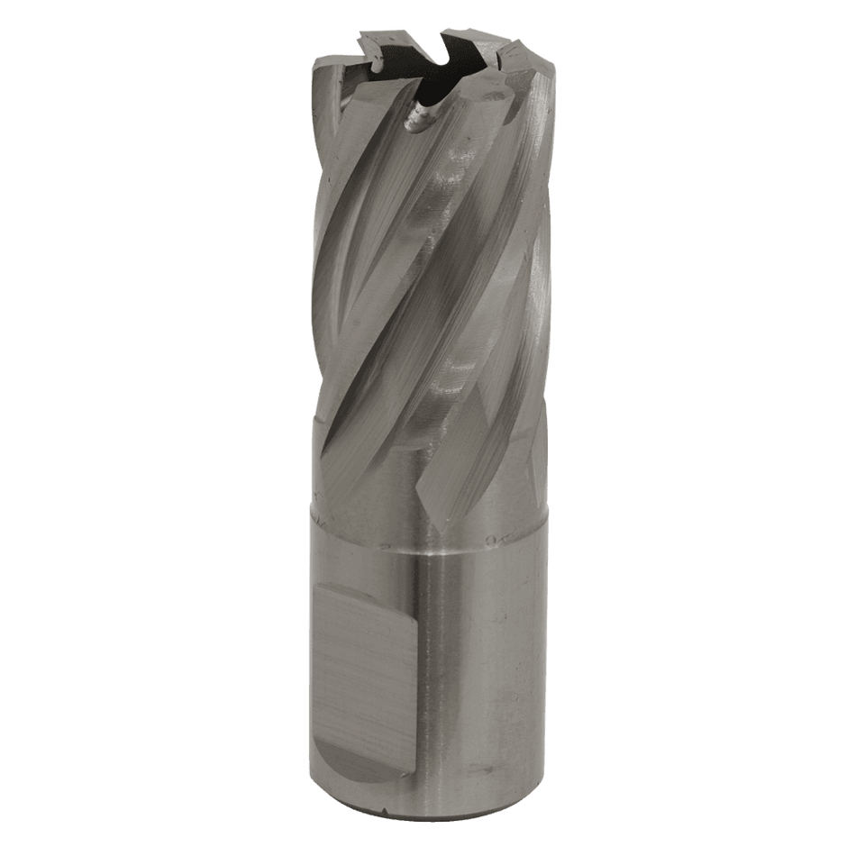 Rotabor Cutter HSS 19mm - Cut Depth 25mm Model No-RBHSS19S