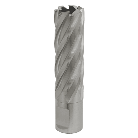 Rotabor Cutter HSS 20mm - Cut Depth 50mm Model No-RBHSS20L