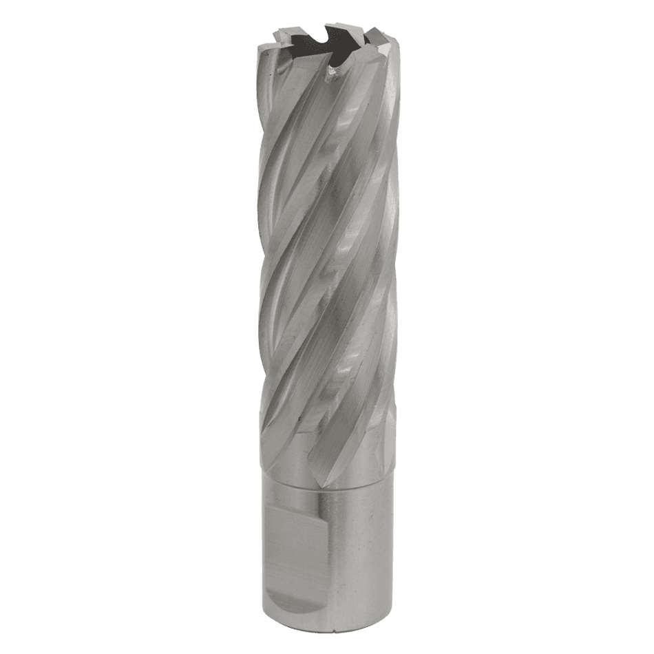 Rotabor Cutter HSS 20mm - Cut Depth 50mm Model No-RBHSS20L