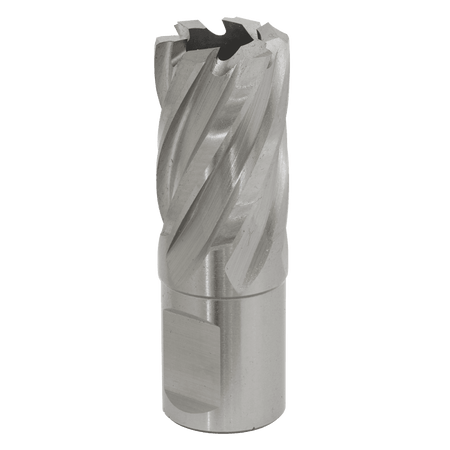 Rotabor Cutter HSS 20mm - Cut Depth 25mm Model No-RBHSS20S