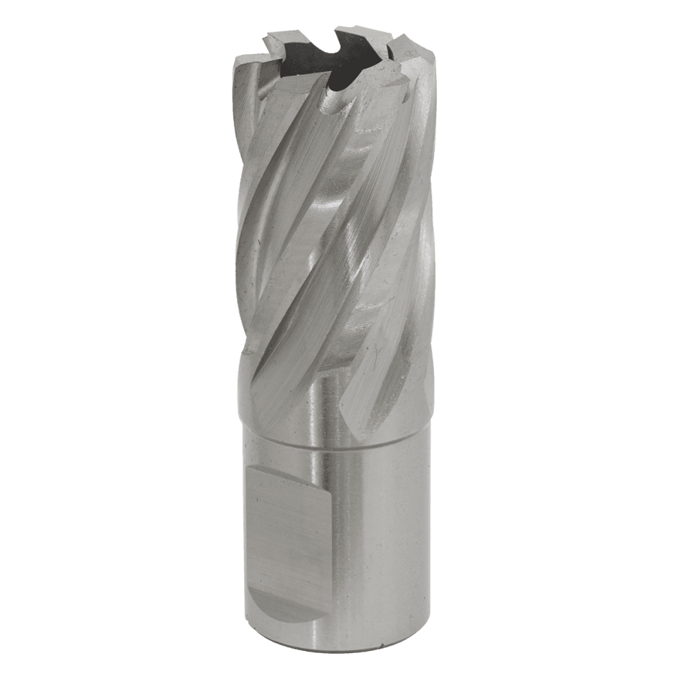 Rotabor Cutter HSS 20mm - Cut Depth 25mm Model No-RBHSS20S