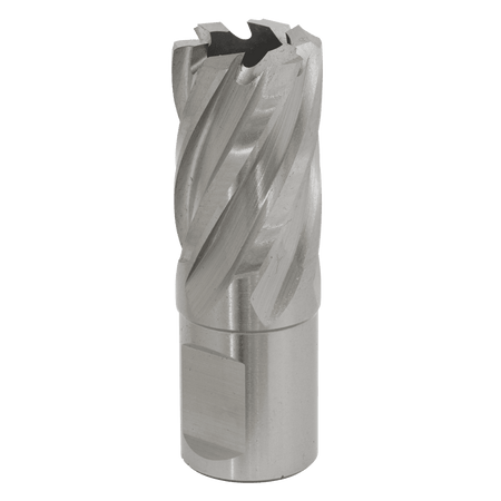 Rotabor Cutter HSS 21mm - Cut Depth 25mm Model No-RBHSS21S
