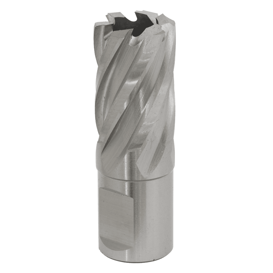 Rotabor Cutter HSS 21mm - Cut Depth 25mm Model No-RBHSS21S