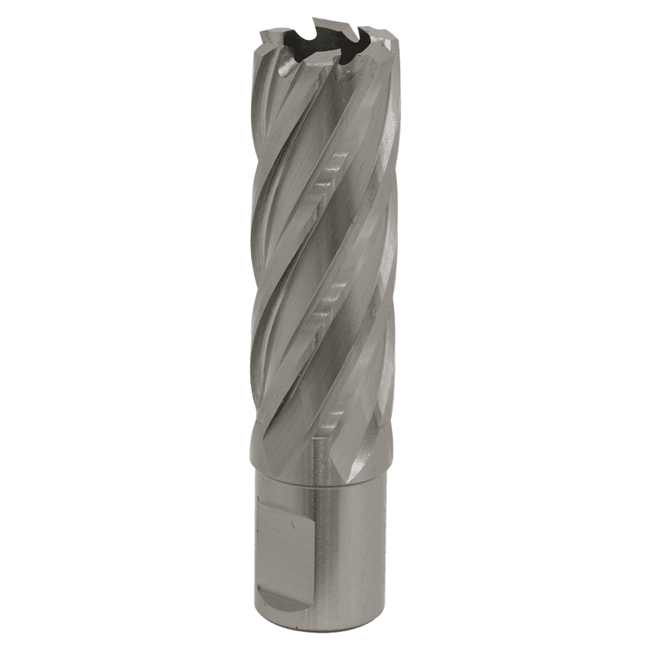 Rotabor Cutter HSS 22mm - Cut Depth 50mm Model No-RBHSS22L
