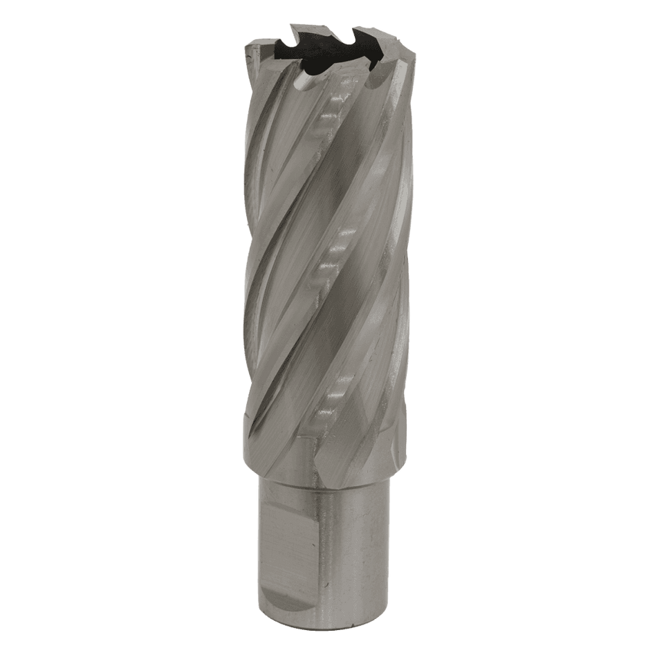 Rotabor Cutter HSS 24mm - Cut Depth 50mm Model No-RBHSS24L