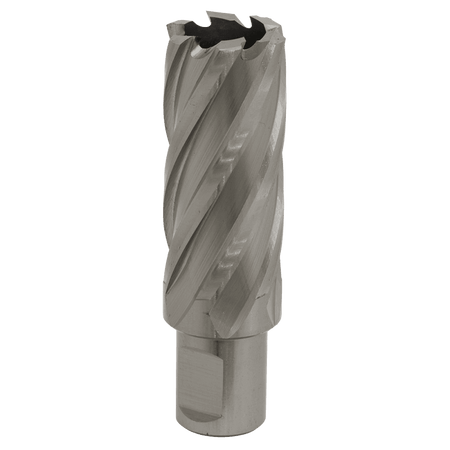 Rotabor Cutter HSS 25mm - Cut Depth 50mm Model No-RBHSS25L