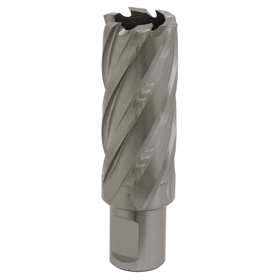 Rotabor Cutter HSS 25mm - Cut Depth 50mm Model No-RBHSS25L