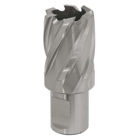 Rotabor Cutter HSS 25mm - Cut Depth 25mm Model No-RBHSS25S