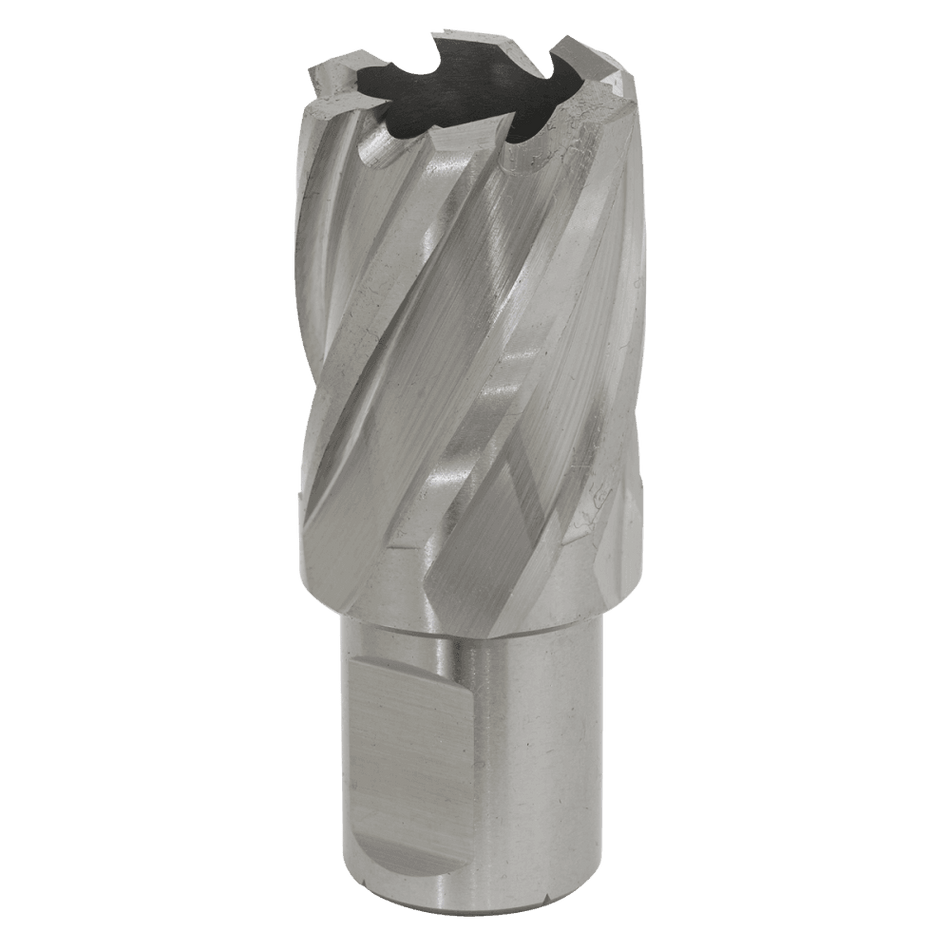 Rotabor Cutter HSS 25mm - Cut Depth 25mm Model No-RBHSS25S