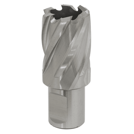 Rotabor Cutter HSS 26mm - Cut Depth 25mm Model No-RBHSS26S