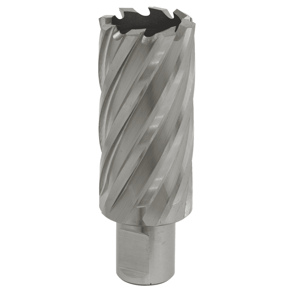 Rotabor Cutter HSS 29mm - Cut Depth 50mm Model No-RBHSS29L