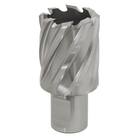 Rotabor Cutter HSS 29mm - Cut Depth 25mm Model No-RBHSS29S