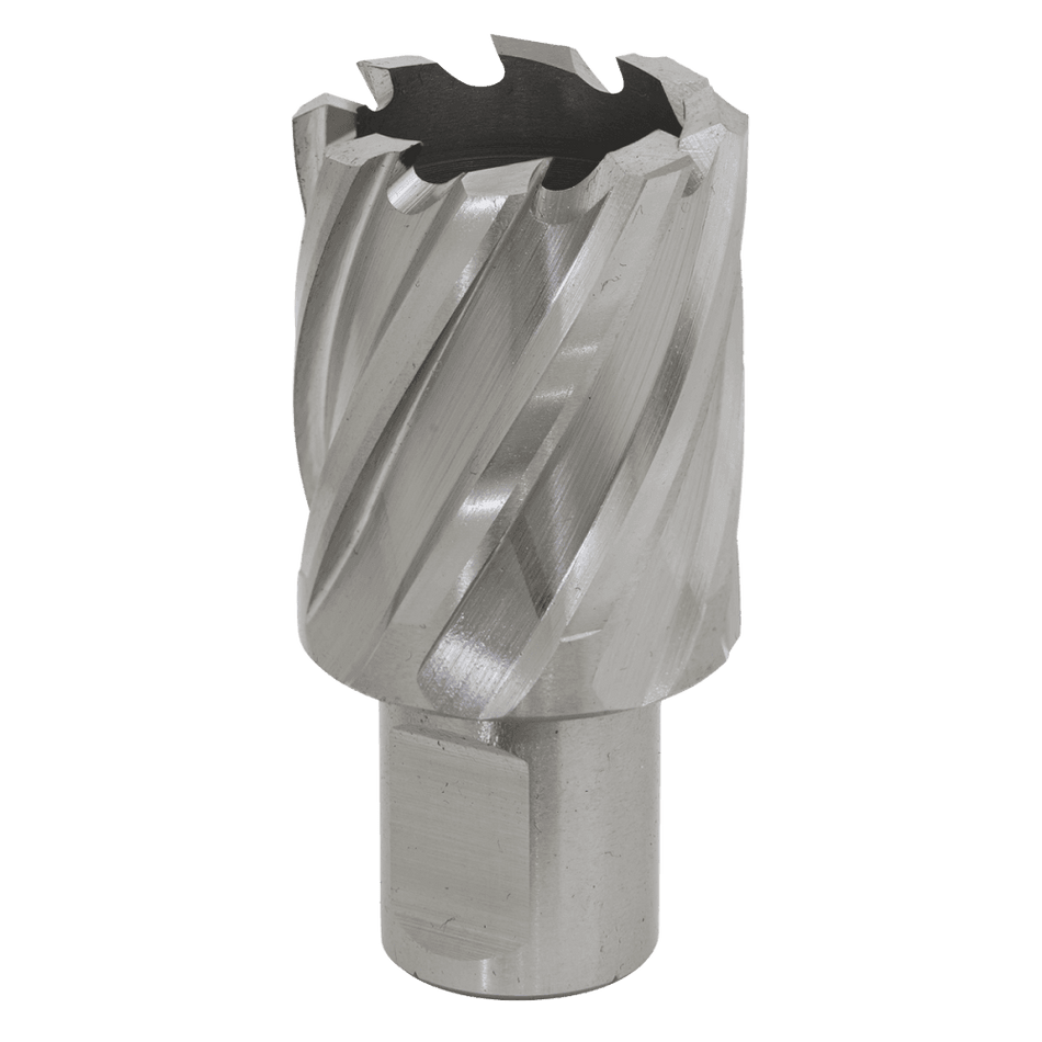 Rotabor Cutter HSS 29mm - Cut Depth 25mm Model No-RBHSS29S