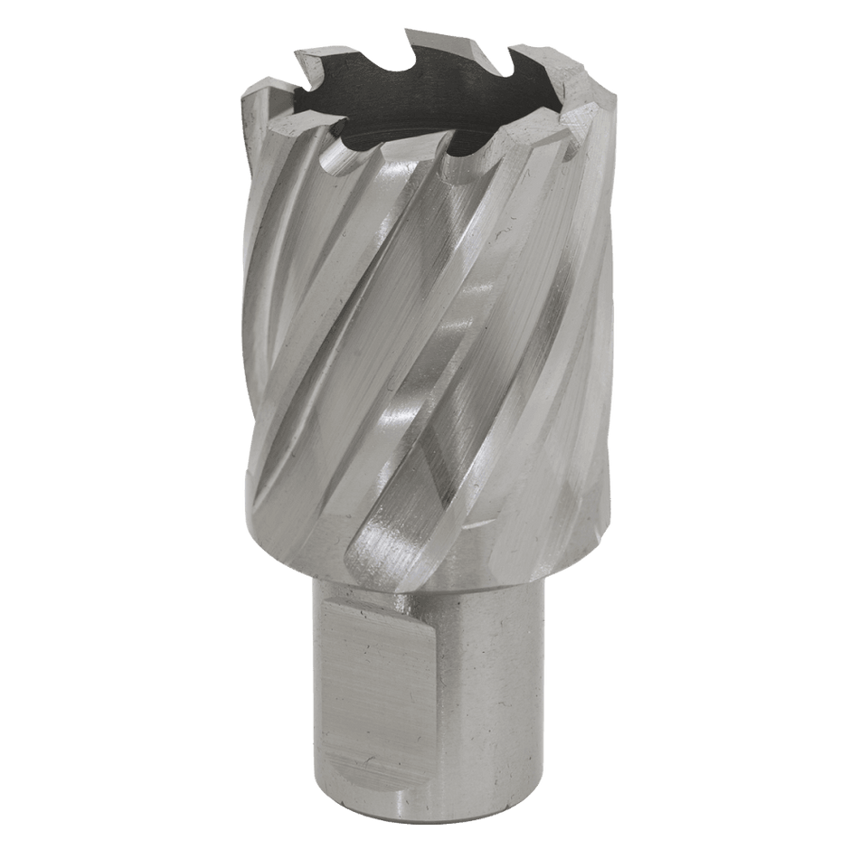 Rotabor Cutter HSS 30mm - Cut Depth 25mm Model No-RBHSS30S