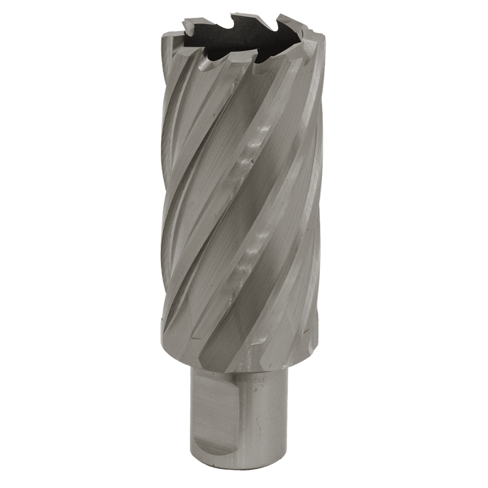 Rotabor Cutter HSS 31mm - Cut Depth 50mm Model No-RBHSS31L