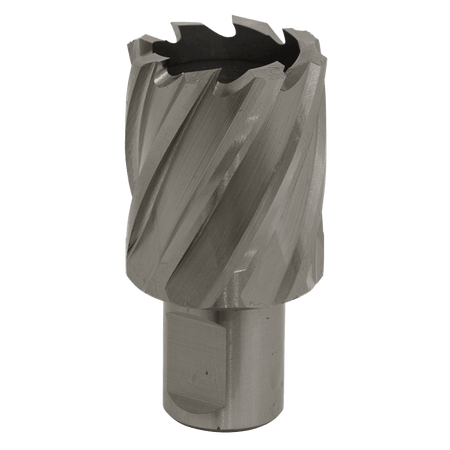 Rotabor Cutter HSS 32mm - Cut Depth 25mm Model No-RBHSS32S