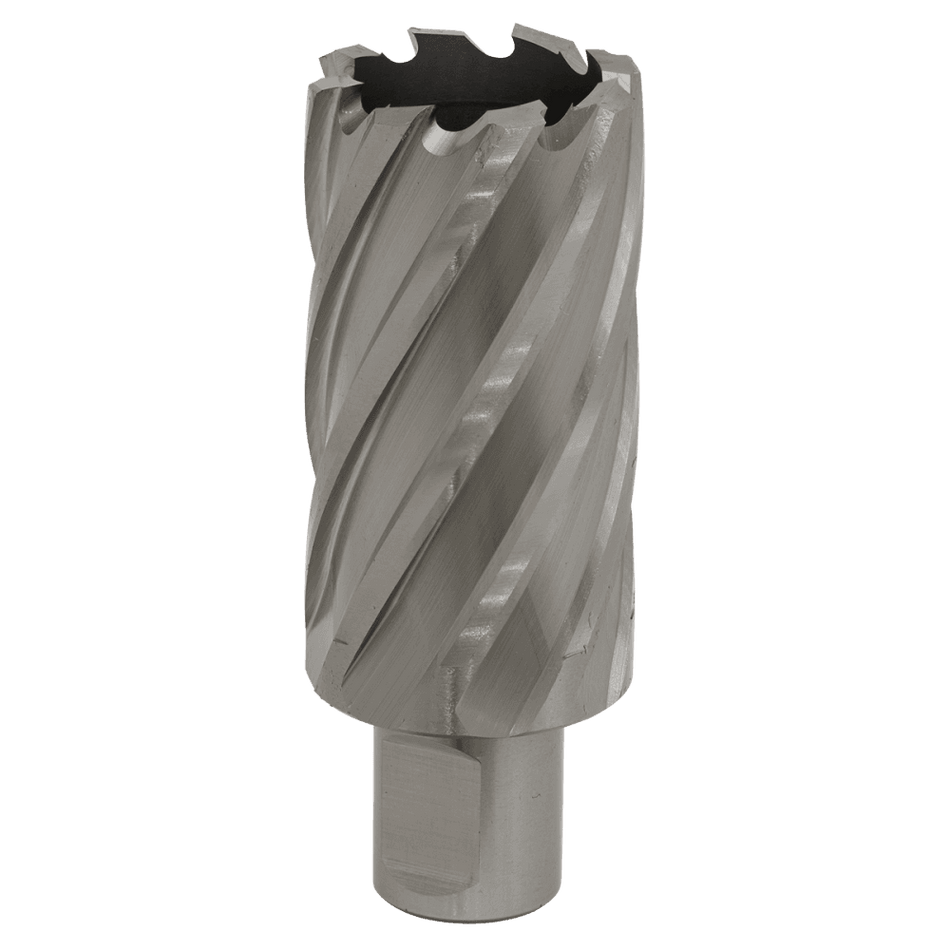 Rotabor Cutter HSS 33mm - Cut Depth 50mm Model No-RBHSS33L