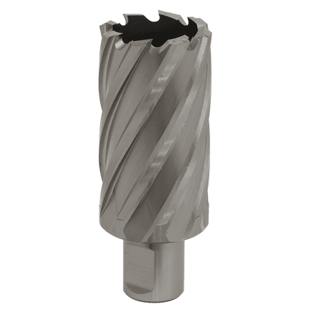 Rotabor Cutter HSS 34mm - Cut Depth 50mm Model No-RBHSS34L