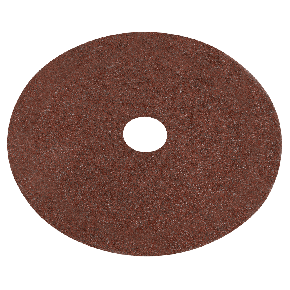 Worksafe® 100mm Fibre Backed Sanding Disc 24Grit - Pack of 25 : Model No-WSD424