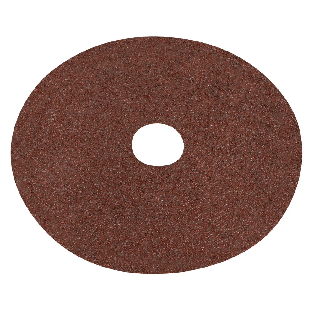 Worksafe® 125mm Fibre Backed Sanding Disc 24Grit - Pack of 25 : Model No-WSD524