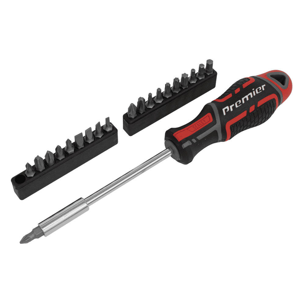 Screwdriver & Bit Set 21pc GripMAX, Model No-AK4329