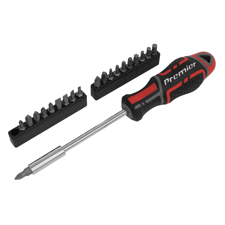 Screwdriver & Bit Set 21pc GripMAX, Model No-AK4329