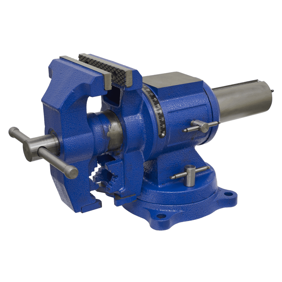 Vice Cast Iron Multifunction Swivel Base 150mm Model No-MFV150