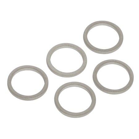 Sump Plug Washer M13 - Pack of 5 Model No-VS13SPW