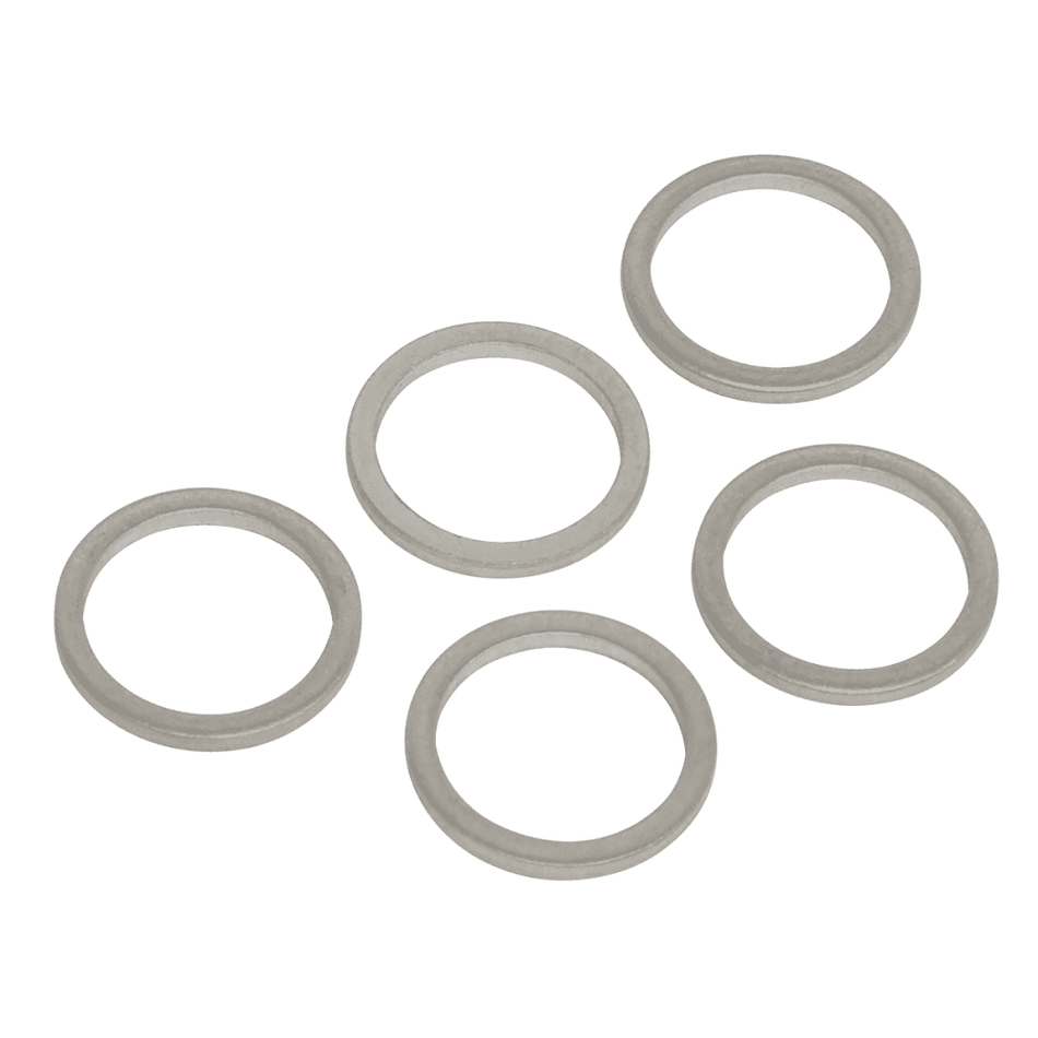 Sump Plug Washer M13 - Pack of 5 Model No-VS13SPW