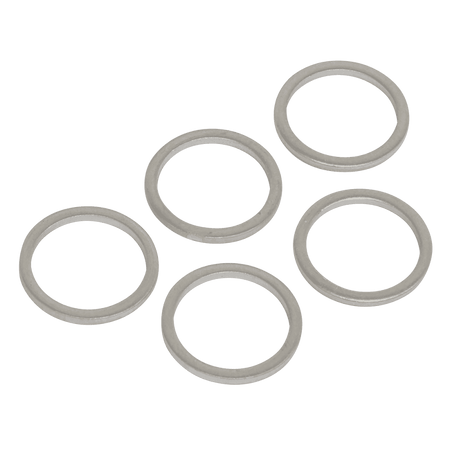 Sump Plug Washer M15 - Pack of 5 Model No-VS15SPW