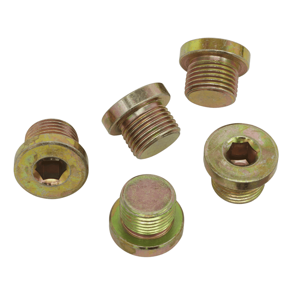 Sump Plug M17 - Pack of 5 Model No-VS17SP