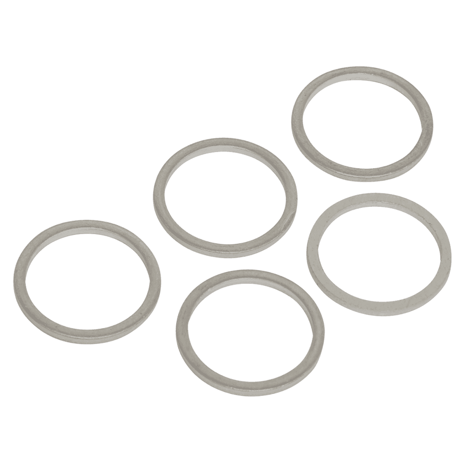 Sump Plug Washer M17 - Pack of 5 Model No-VS17SPW