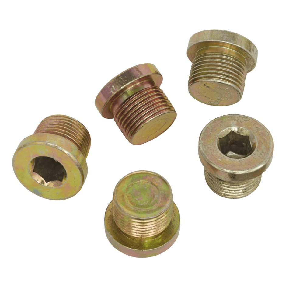 Sump Plug M20 - Pack of 5 Model No-VS20SP