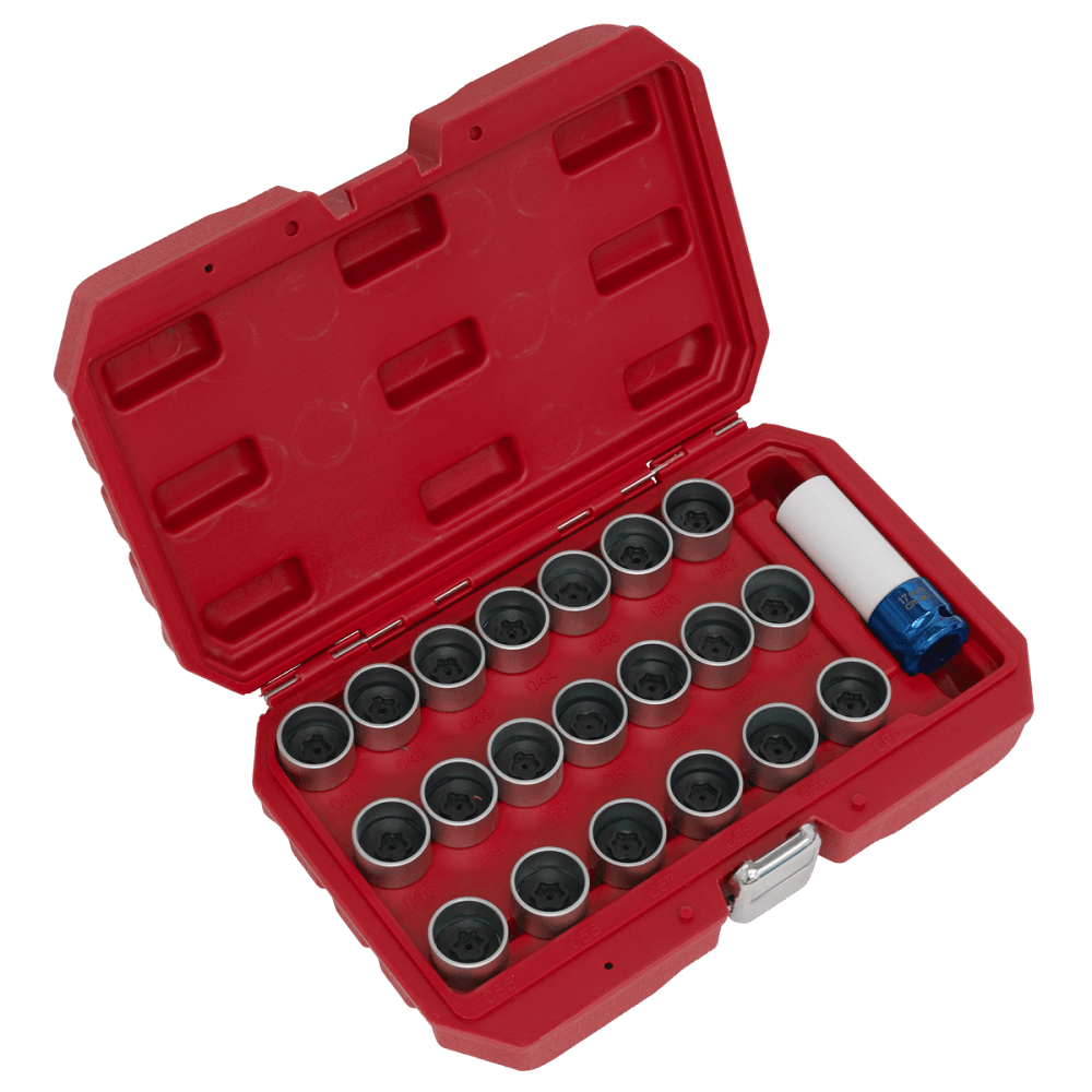 21pc Locking Wheel Nut Key Set - BMW Model No-SX217
