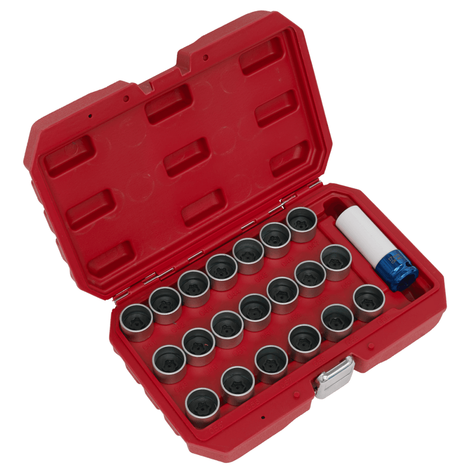 21pc Locking Wheel Nut Key Set - BMW Model No-SX217