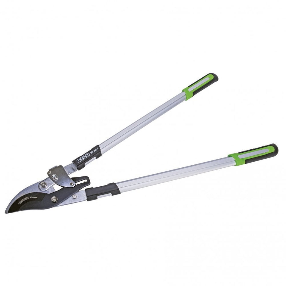 Draper Ratchet Action Bypass Pattern Loppers (750mm) Model No. GBLS/E