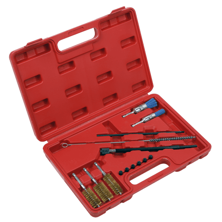 Sealey Cleaning Brush Set Injector Bore 14pc Model No- VS1900
