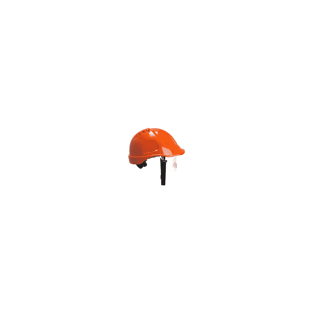 Endurance Spec Visor Helmet