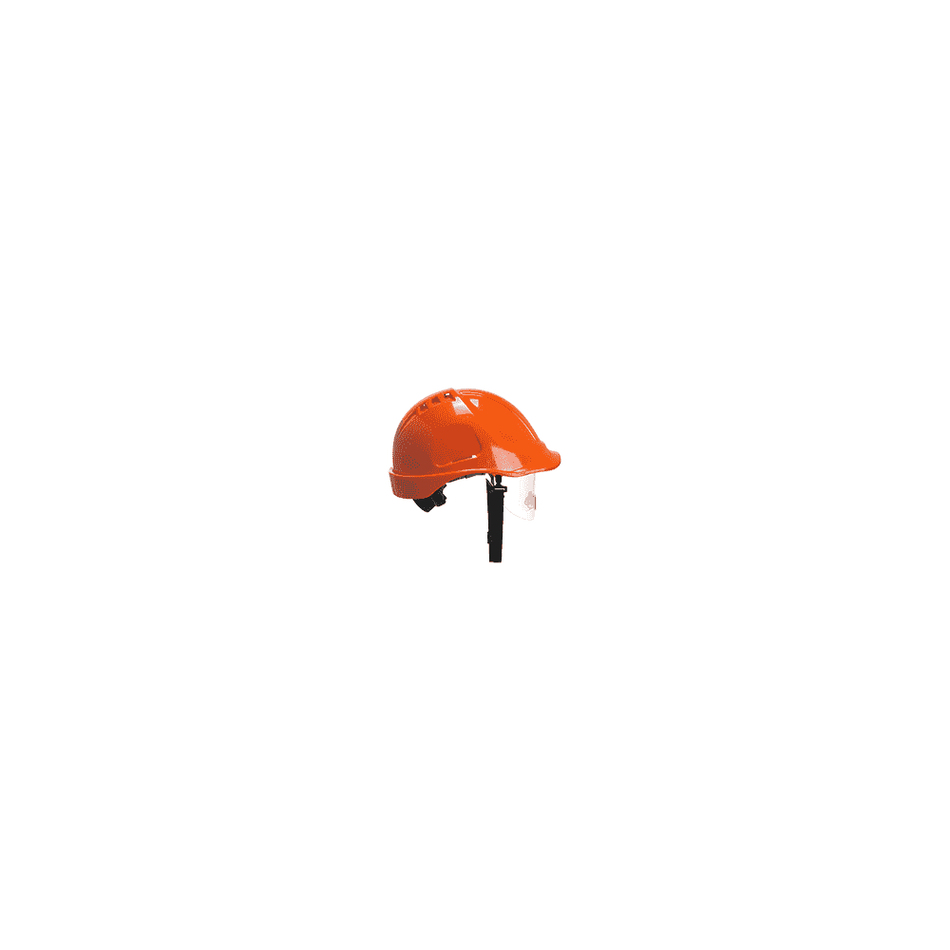 Endurance Spec Visor Helmet