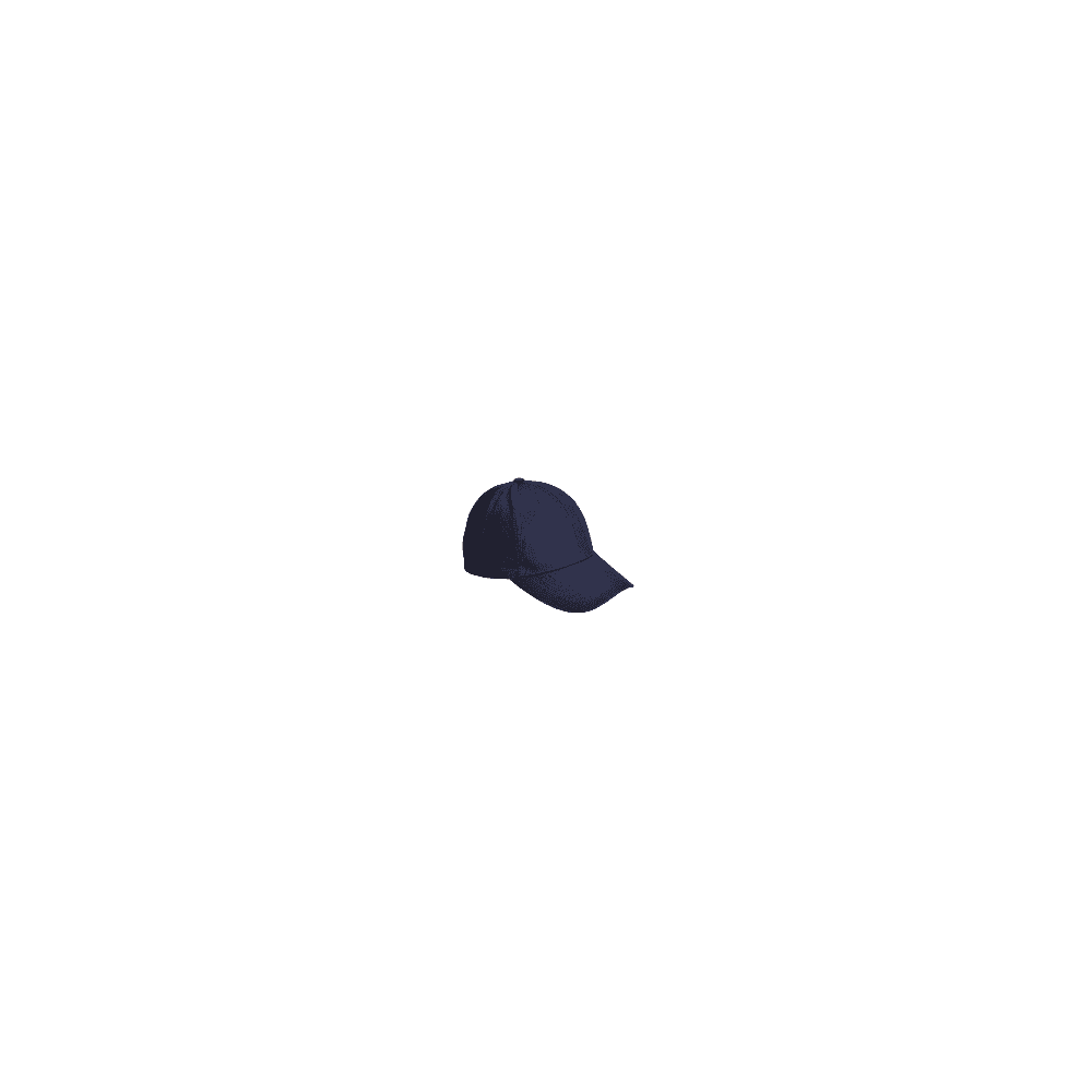 Six Panel Baseball Cap