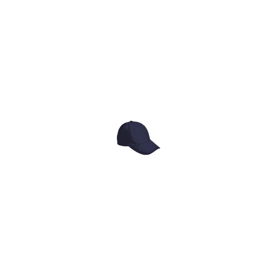 Six Panel Baseball Cap