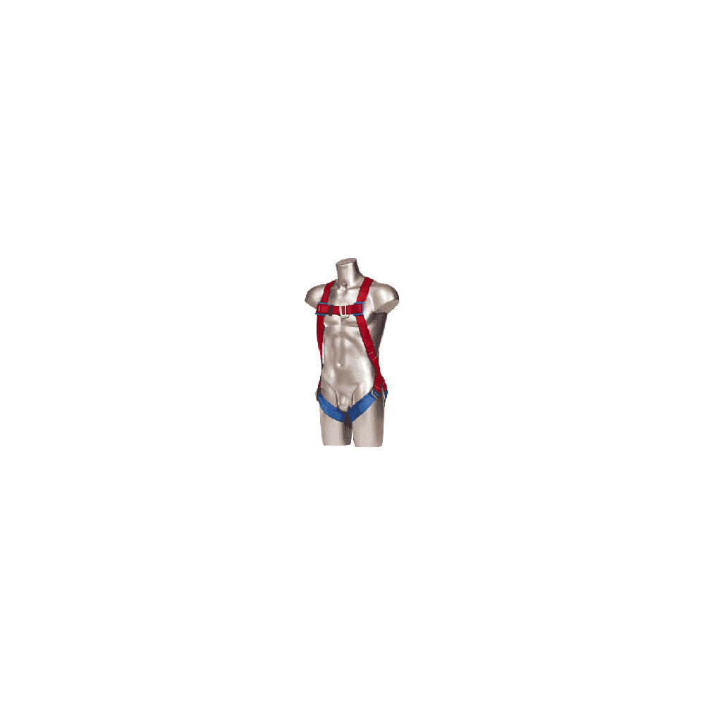 1-Point Harness