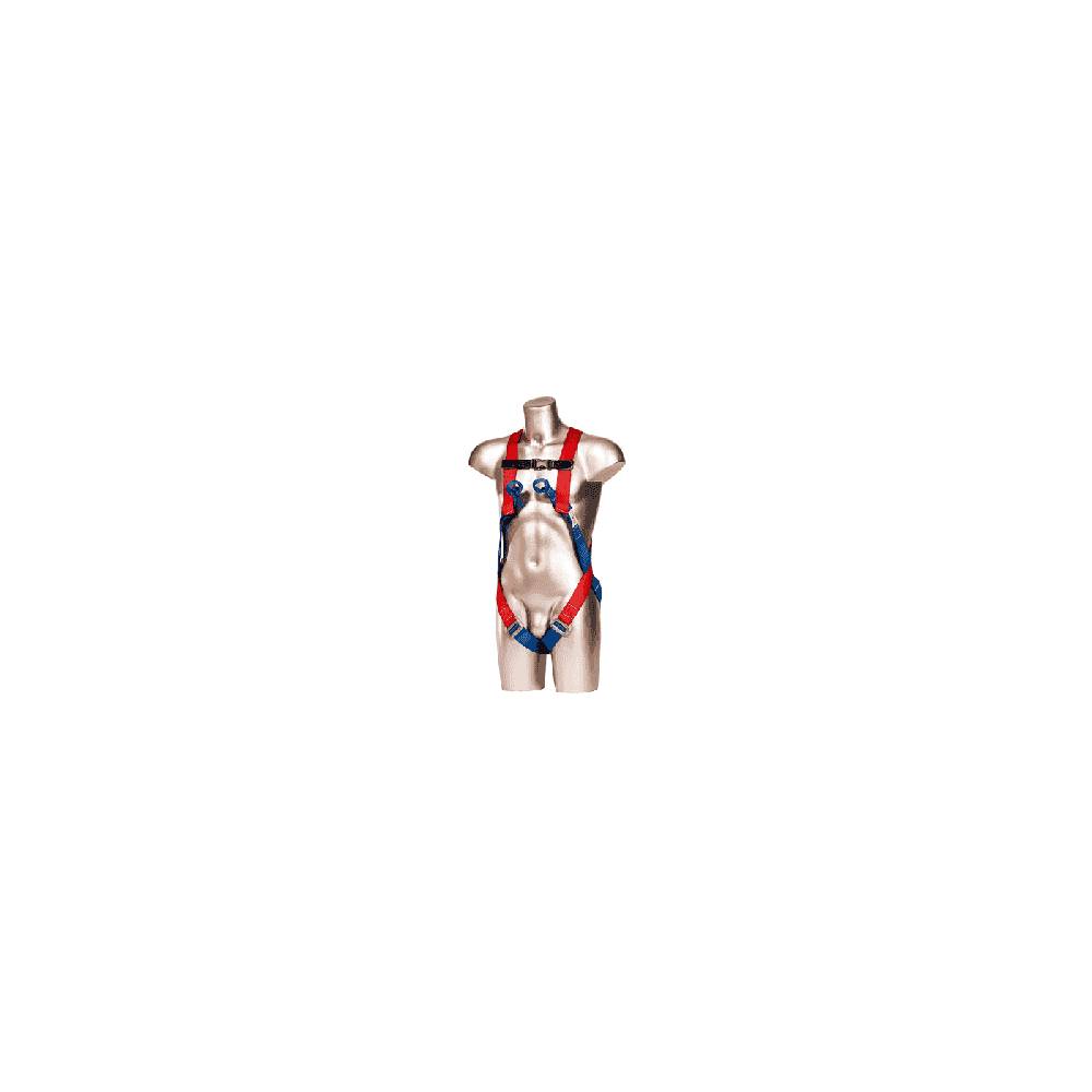 2-Point Harness