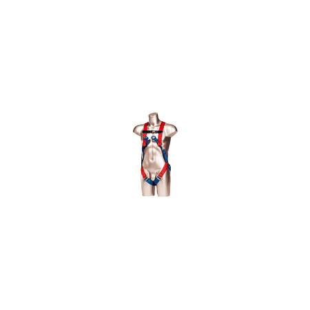 2-Point Harness